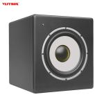 20 - 250K Hz 10 Inch Low Frequency Subwoofer For Home Theater High Power Active