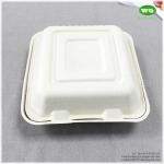 8x8 Inch Three Compartments Compostable Sugarcane Fiber Disposable Lunch Box