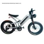 Mechanical Disc Brake Electric Bike 48v 500w Motor Ebike 2 Wheel 20 Inch Fat