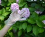 Transparent Cleaning 0.8g/Piece Disposable Hdpe Gloves
