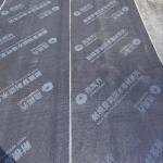 Plastic APP Modified Bitumen Membrane Waterproof 3mm 4mm 5mm thickness