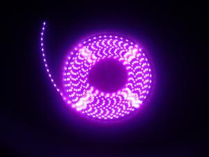 China SMD335 120led per meter Sidebeam purple 335 led strip factory
