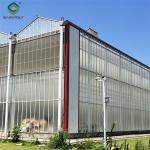 Venlo Greenhouse Commercial Polycarbonate Glass Greenhouse For Seeds Vegetables