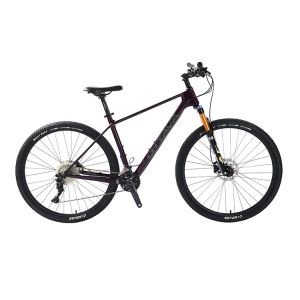 29 Carbon Fiber Mountain Bike with Shimano 22s deore parts Customizable