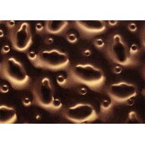 SGS Printed Custom Cut Laminated Glass Screen 4mm