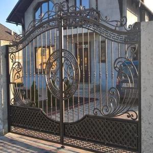 China Outdoor Garden Wrought Iron Fence Courtyard Entry Gates Easily Assembled factory