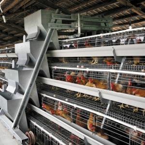 China Hot Dip Galvanized Battery Poultry Farm A Frame Manual Layer Chicken Cage factory