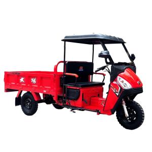 China DAYANG 800W Gas Powered 150cc Self Loader Tricycle Manufactures for Chinese Market factory
