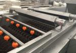 Vegetable Carrot Potato Ginger Brush Roller Washer Machine for Washing and