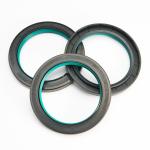 FKM Oil Seals for Oil Chamber Sealing and Dust Protection
