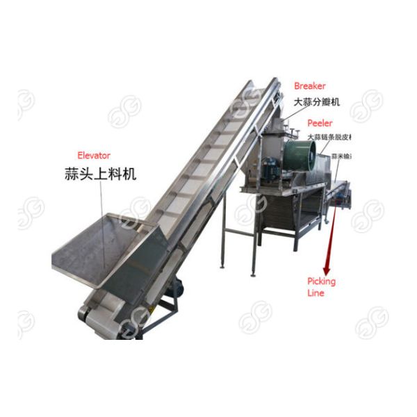 Commerical Garlic separating And Peeling Line Dry Garlic Peeling Machine