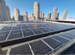 Greenhouse Revolution Customize Size Flexible Photovoltaic Panels Made from