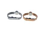 Waterproof Women Mesh Band Alloy Wristwatches With Harded Crystal Smaller design
