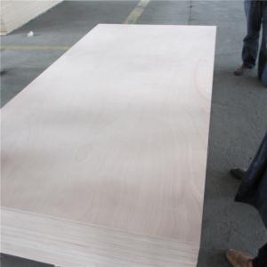 China Llyods Certificate Phenolic WBP Glue 16mm Marine Okoume Plywood factory