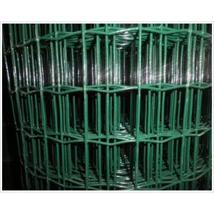 China Holland Wire Mesh/Euro Fence/Holland Wire Mesh Fence on sale
