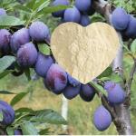 Vegetal Based Amino Acid Powder Fertilizer 52% Drip Irrigation Fertilizer Foliar