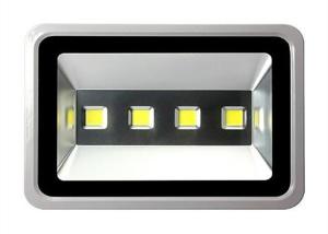 China 300W Ultrathin Outdoor LED Flood Light AC85V - 265V Waterproof IP65 COB Spot light factory