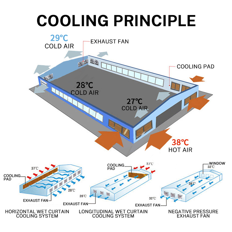 Source Factory 50 Inch Pig Pen Using Poultry Exhaust Fan Poultry Fan Poultry Farm Ventilation Fans for Sale