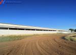 Steel Frame Piggery Shed Construction Long Span Steel Poultry Buildings