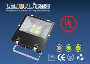 China High Power COB 120LM/W Bridgelux Chip 5 Years Warranty Meanwell Driver IP65 LED Flood Light factory