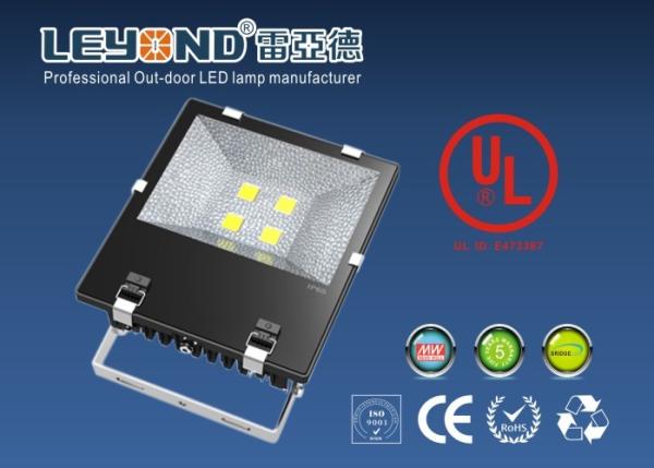 200W LED Flood Lights Outdoor High Power With Bridgelux 45mil chip COB Meanwell