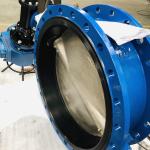 DI Ductile Iron ss304 316 cf8m ANSI150 Manual Rotork Auma wormgear butterfly