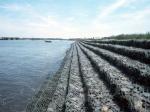 40-270g/Sqm Hot-Dipped Galvanized (Galfan) Gabion Box/Gabions