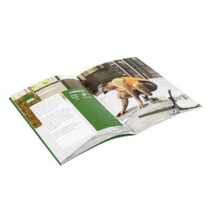 PSD C1S Instruction Booklets Manual Guide Glossy Matte Varnishing 500pcs