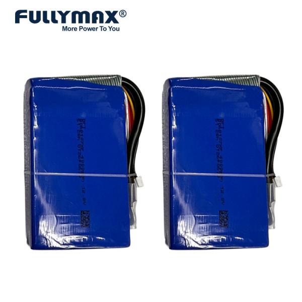 5000mAh 12.8V 40C 500ah Lifepo4 Battery Ion Vehicle Lithium Jump Starter Battery