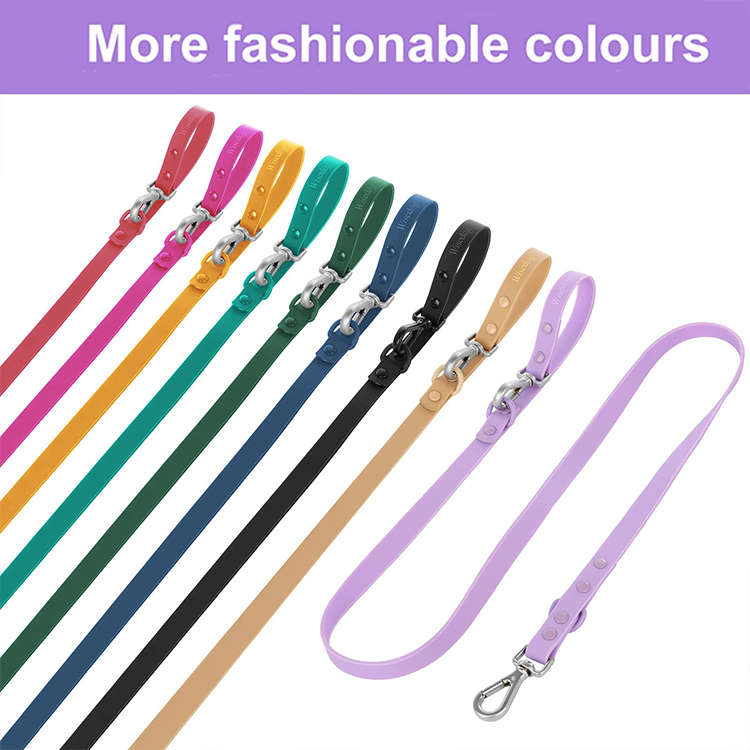5.5 Feet Durable Reinforced Training Pet Collar Leash 3pcs Waterproof