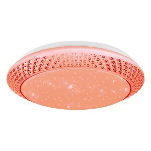China Janna LED Ceiling Light 24W factory