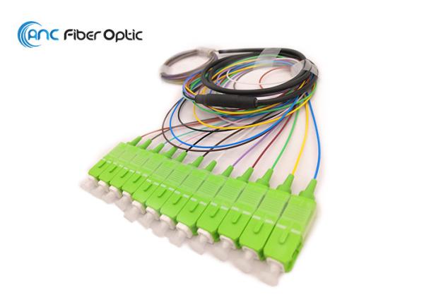 SC/APC 12 Fiber Optic Pigtail SM G657A1 G657A2 Fiber Unequal Length LSZH PVC