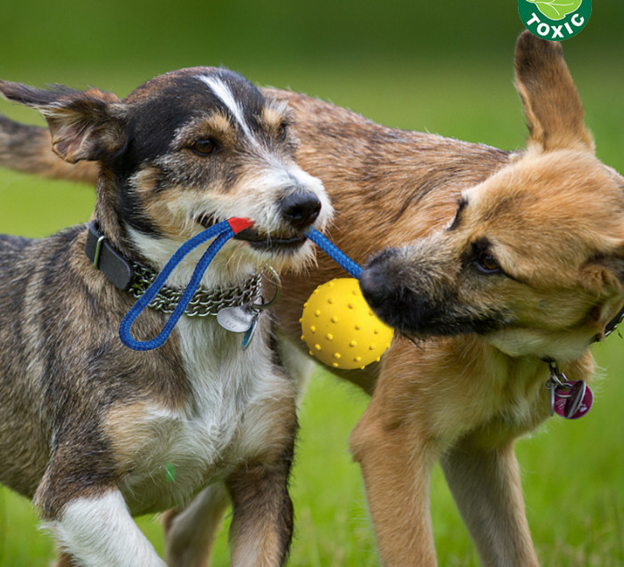 Dog Toy Ball with Rope