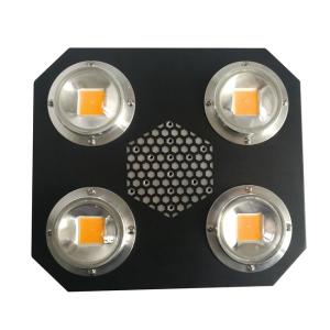 China Rikolite 780nm Plant Led Grow Lights Indoor UV Flip Cob Aluminum Alloy AC855V factory