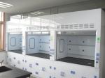 Anti Acid fume hood cabinet , PP Cup Sink Chemical Fume Cupboard