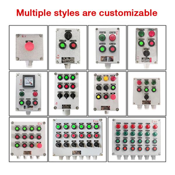 China BAXITExplosion Proof Operation Panel  Explosion-Proof Control Push Button Switch signal Lamp Control Box Exe Exd IIB IIC  factory