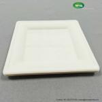 Elegant Sugarcane Square Plate-6 inch/8inch/10 inch,100% natural plant fiber
