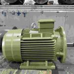 10HP Variable Speed Electric Motor Energy Saving High Voltage