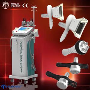 China CE proved Cryolipolysis Slimming Machine for salon factory