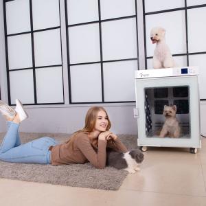 China Quick Dry Pet Drying Box Portable Large 220V For Negative Ion Bath factory