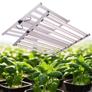 China 12 Strips Full Spectrum LED Grow Light High Ppe of 3.5 Umol/J 100w Rated Power Watt for Optimal Growth on sale