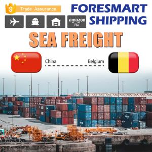 China 40HQ Shipping From China To Belgium FCL Sea Freight factory