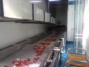 China China Suppliers General Industrial Conveyor Equipment Fixed Belt Conveyor factory