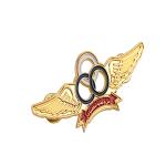 Zinc Alloy Aviation Air Force Pilot Badge Brooch with Gold Plating