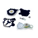 Filter And Cover Maintenance Kit For LPG Car Gas Regulator
