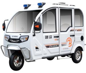 China Lithium Battery 800 Watt 480kg Electric Trikes For Adults factory
