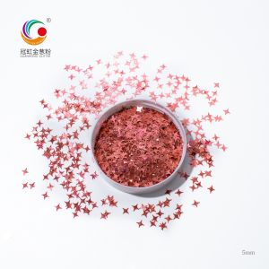 China Fine PET Holographic Shimmer Chunky Holographic Glitter Bulk Star Sequins factory