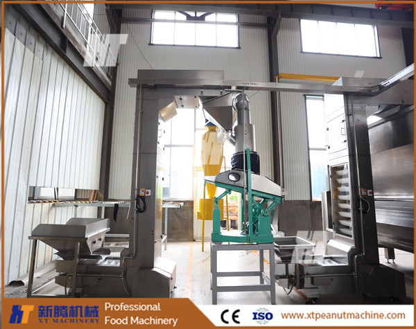 LPG Gas Z Bucket Elevator Lifter Conveyor Paternoster For Peanut Processing Machinery