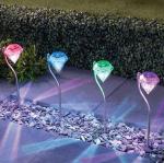 30cm 12V Color Changing Solar Garden Stake Lights