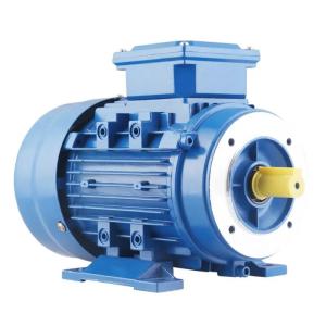 China 3 Phase Squirrel Cage Induction Motor 1hp 2 Hp 20 Hp 11kW B3 factory